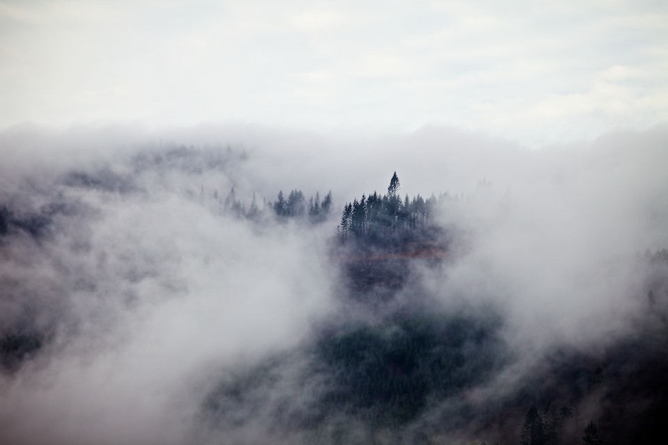 Fog Over the Oregon Coast Range