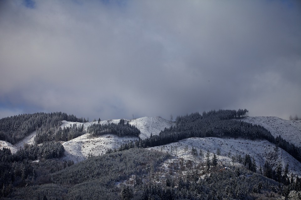 Snow on the Oregon Coast Range